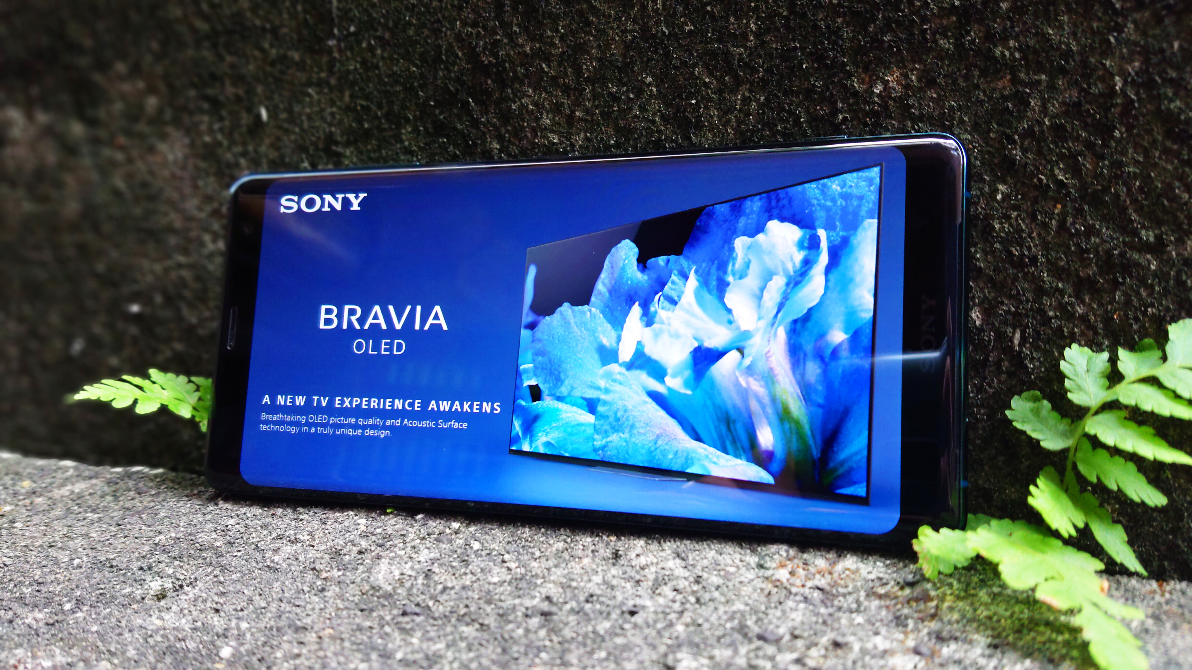 「開箱短評」Sony首款OLED曲面螢幕旗艦手機 XZ3 動手玩